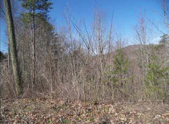 TRACT 3 HEATHERS RIDGE
